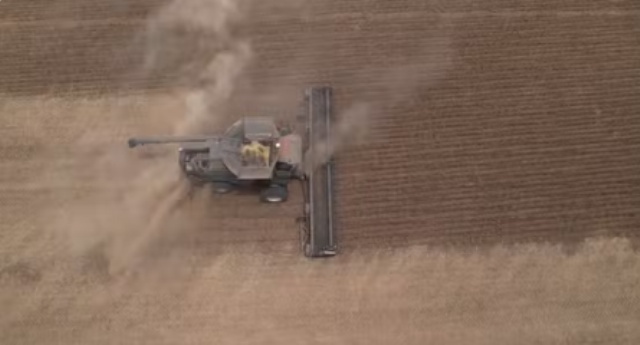 Agricultores pioneiros revelam como MT virou o maior produtor de soja no Brasil