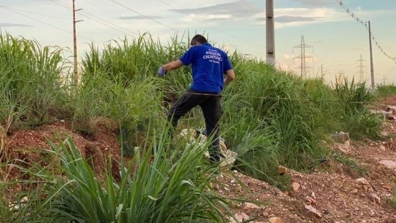 Jovem que furtou peças de picanha de frigorífico é encontrado morto em matagal