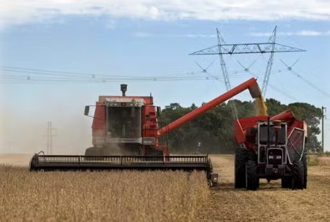 China deixa de comprar soja dos EUA, e agricultores veem Brasil como principal ameaça