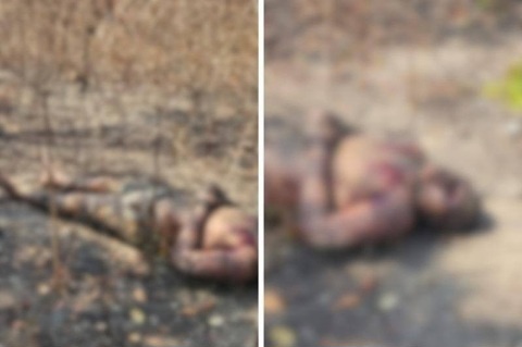 Corpo de homem com as mãos amarradas é encontrado