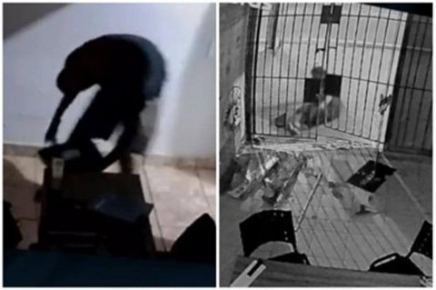 Ladrões levam 15 notebooks e até micro-ondas de escola em MT