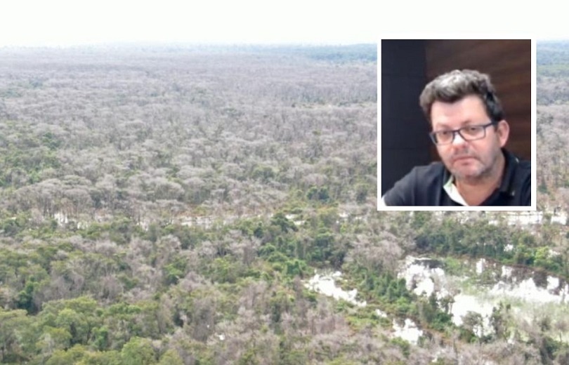 Fazendeiro vende R$ 9 milhões em gado e justiça libera manejo em fazenda