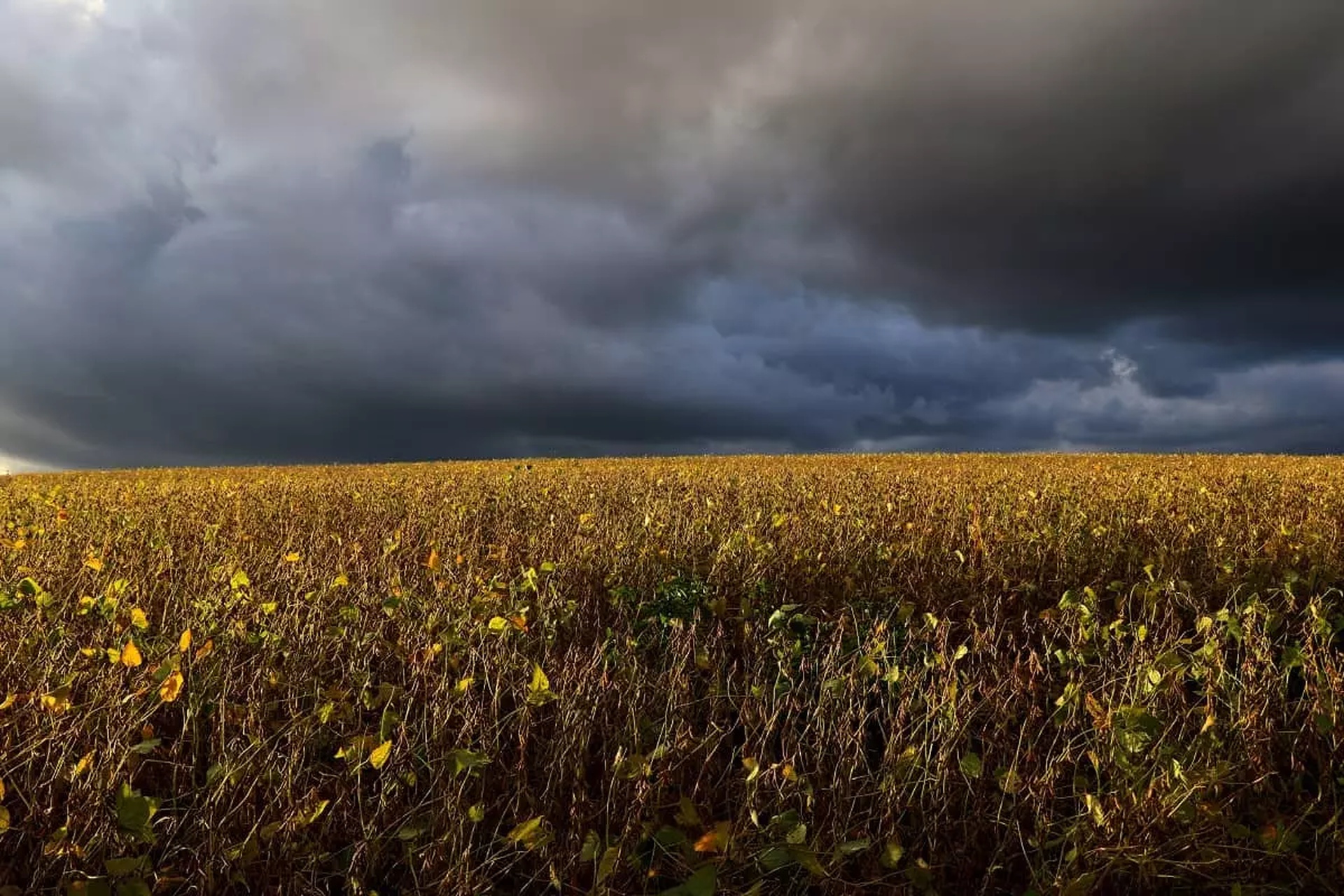 La Niña confirmado. O que isso significa para o Brasil?