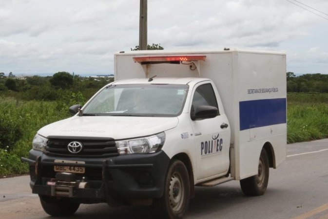 Idoso de 69 anos morre ao ser atingido por árvore seca em fazenda