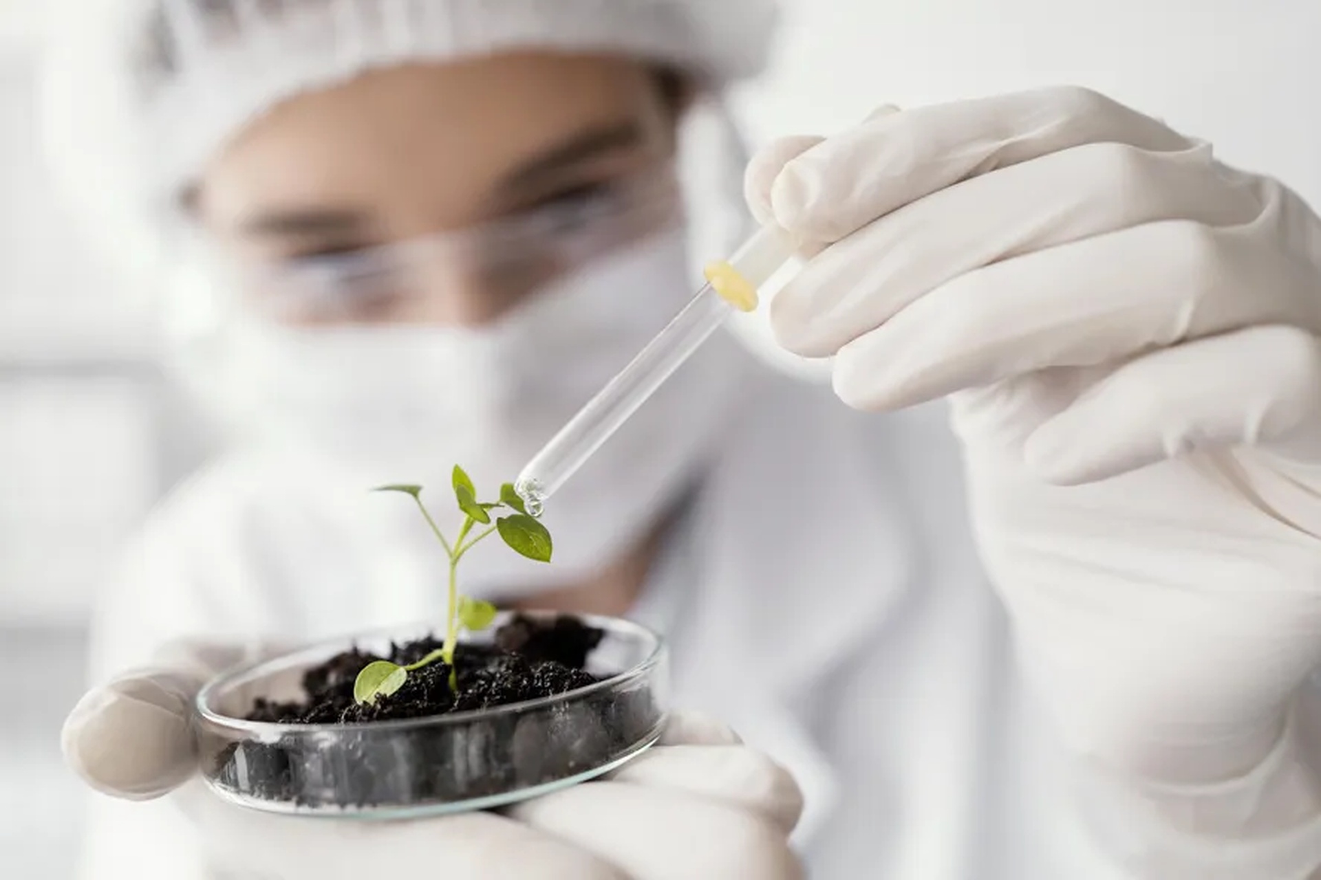Setor de biossoluções pode movimentar R$ 232 bilhões no Brasil até 2035