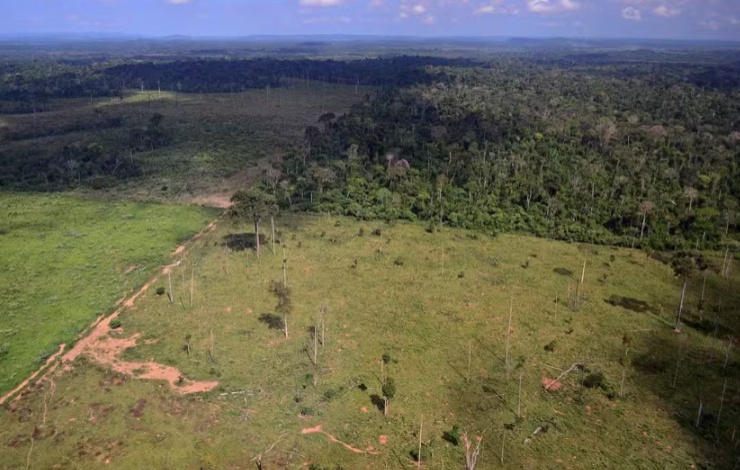 Desmatamento para abrir pasto cresceu mais que produção de carne em quatro anos
