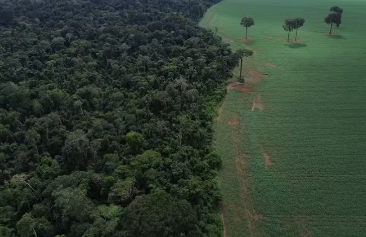 Governo amplia prazo para georreferenciamento em propriedades rurais