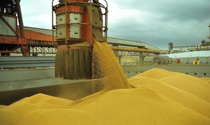 Produção de soja é estimada em 178,5 milhões de toneladas pela Abiove