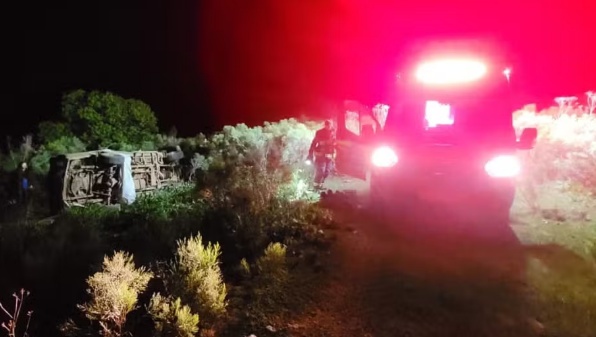 Pai tenta socorrer filha que bateu carro contra caixa de abelhas, mas ambos morrem após ataque de enxame no RS
