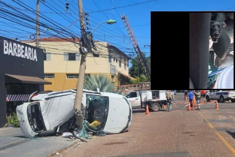 Cachorro sobrevive e é resgatado após acidente que matou casal em Cuiabá