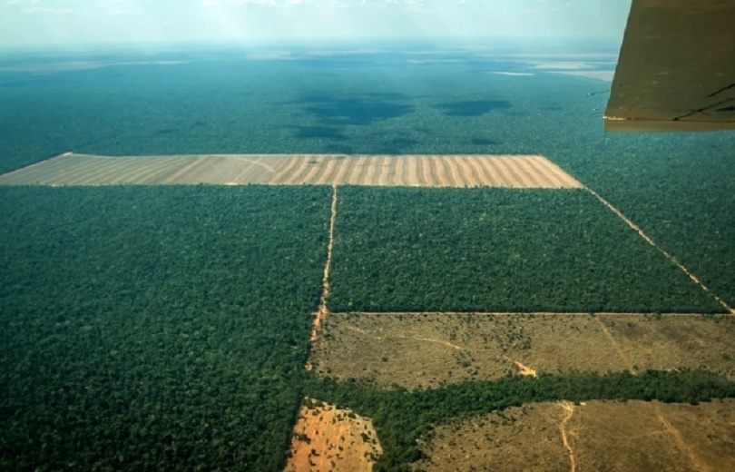 Mato Grosso é único estado da Amazônia Legal com aumento no desmatamento em um ano