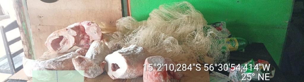 Sema e PM apreendem animais comercializados ilegalmente no norte do estado