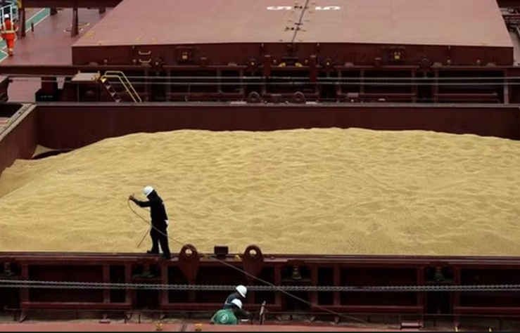 Acordo EUA-China pressiona preços e fortalece demanda chinesa por soja do Brasil