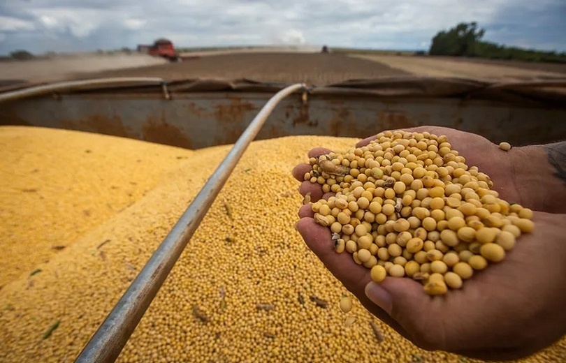 Quais são e quanto devem as maiores do agro. Três são de MT
