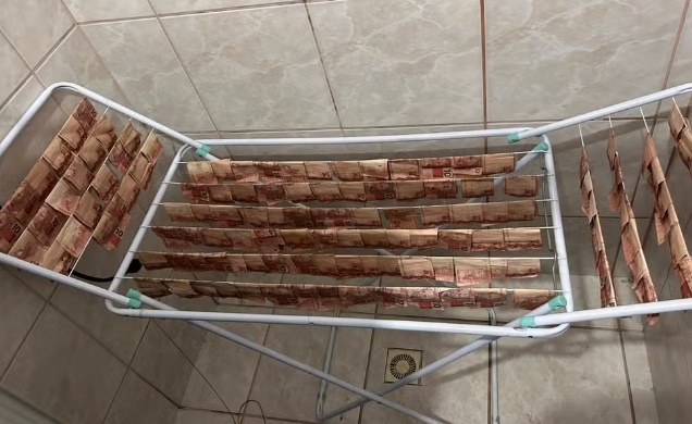 Suspeitos literalmente 'lavam' dinheiro após excesso de mofo em SC