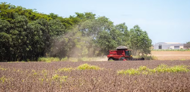 Cade suspende processos sobre Moratória da Soja, incluindo inquérito sobre diretores