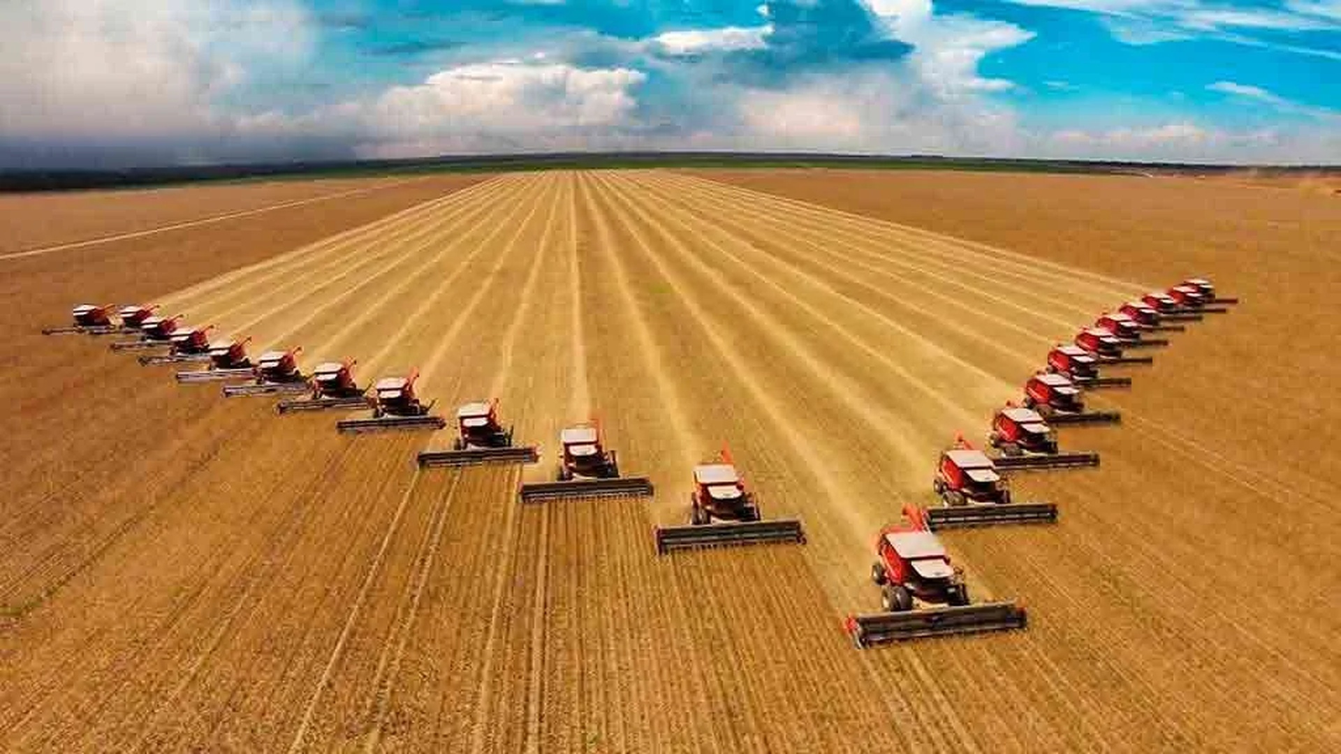 Brasil vai colher safra recorde de soja, milho e algodão em 2025