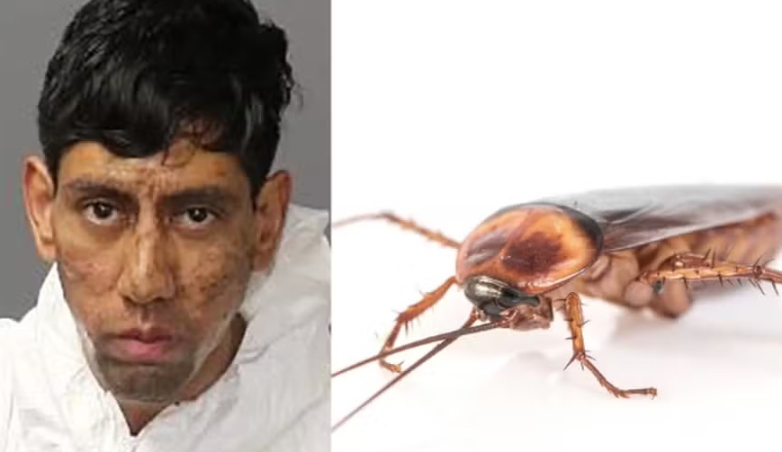 Homem acusado de dois homicídios alega que uma barata o convenceu a cometer o crime por mensagens 'criptografadas'