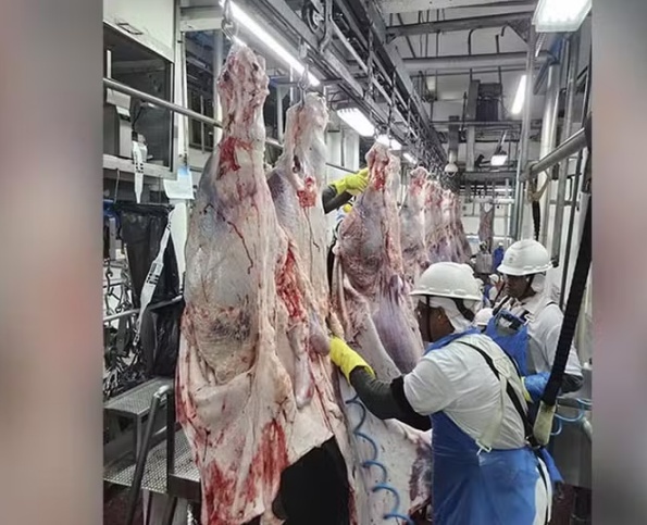 Brasil perde US$ 700 milhões em vendas de carne para os EUA