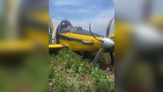 Avião agrícola despenca em lavoura, mas piloto sai andando e recusa socorro em MT