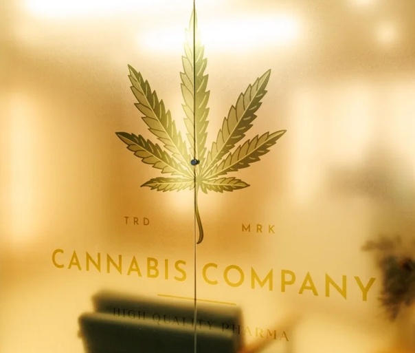 Cannabis Company: conheça a 1ª farmácia exclusiva de cannabis medicinal do país