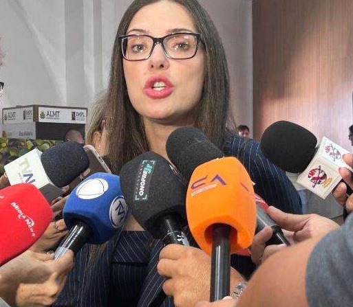Castração, ração e vacinas gratuitas: protetores de animais podem ter apoio do Estado