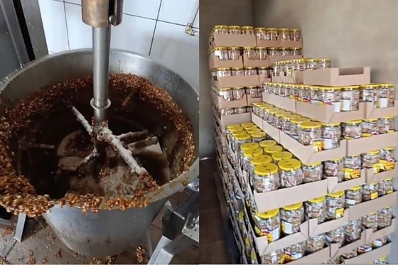Lixo e fezes de rato são encontrados em fábrica de doces que abastecia cantinas escolares