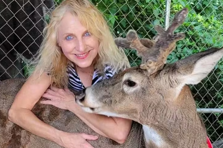 Mulher é morta por veado que resgatou e tentou domesticar