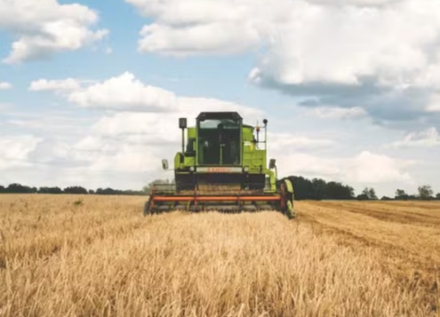 Grandes safras e juros elevados devem reduzir margens de empresas do agro