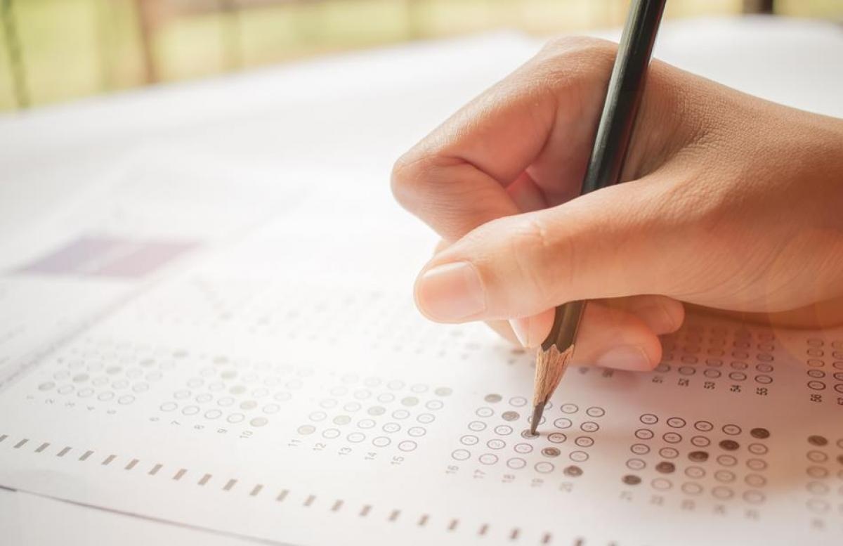 Prefeituras, TJ e UFMT têm seletivos para diferentes áreas e salários até R$ 9 mil