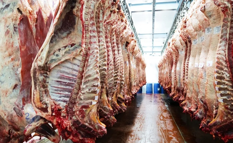 Menor oferta de bovinos em 2026 para abate deve encarecer a carne