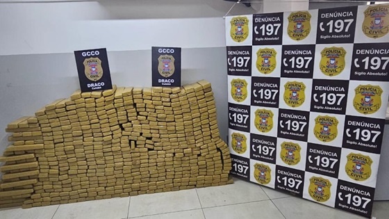 Polícia Civil apreende aproximadamente meia tonelada de maconha em VG