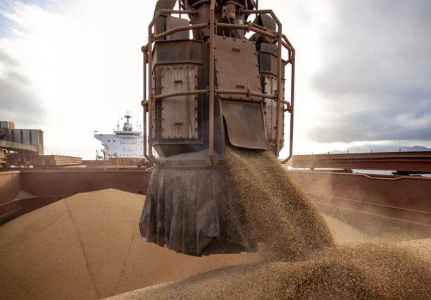 Brasil deve exportar 112 milhões de toneladas de soja, diz Conab