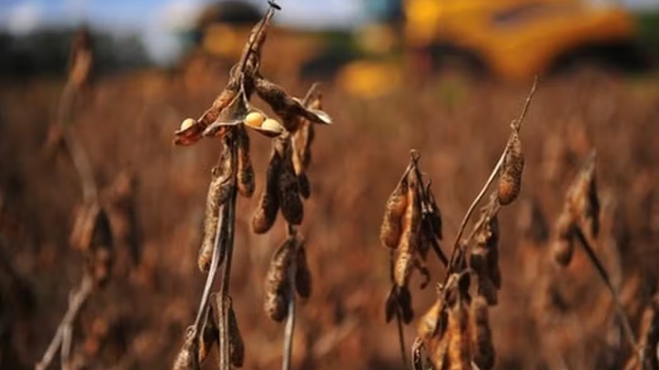 Fazenda admite ajustes, mas não confirma nova MP para dívidas