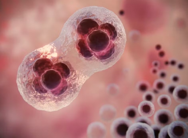 Cientistas descobrem ‘gatilho’ para caos genético que torna o câncer mais agressivo