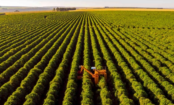 Brasil abriu mais de 500 mercados internacionais para o agro desde 2023