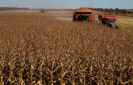 Mato Grosso tem maior procura de recuperação judicial no agro no 3º trimestre deste ano