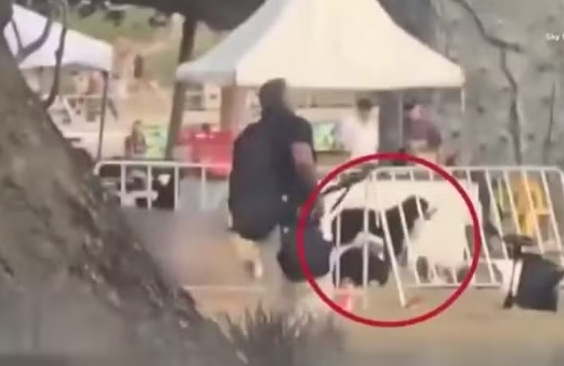 Cadela ficou ao lado de vítima de ataque em praia de Sydney enquanto atirador estava a poucos metros de distância