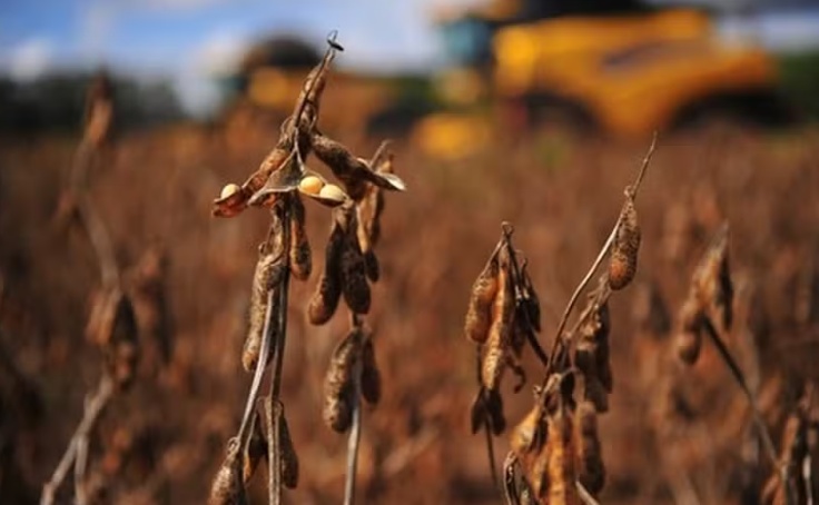 Governo inclui safra 2024/25 na renegociação de dívidas, mas frustra produtores