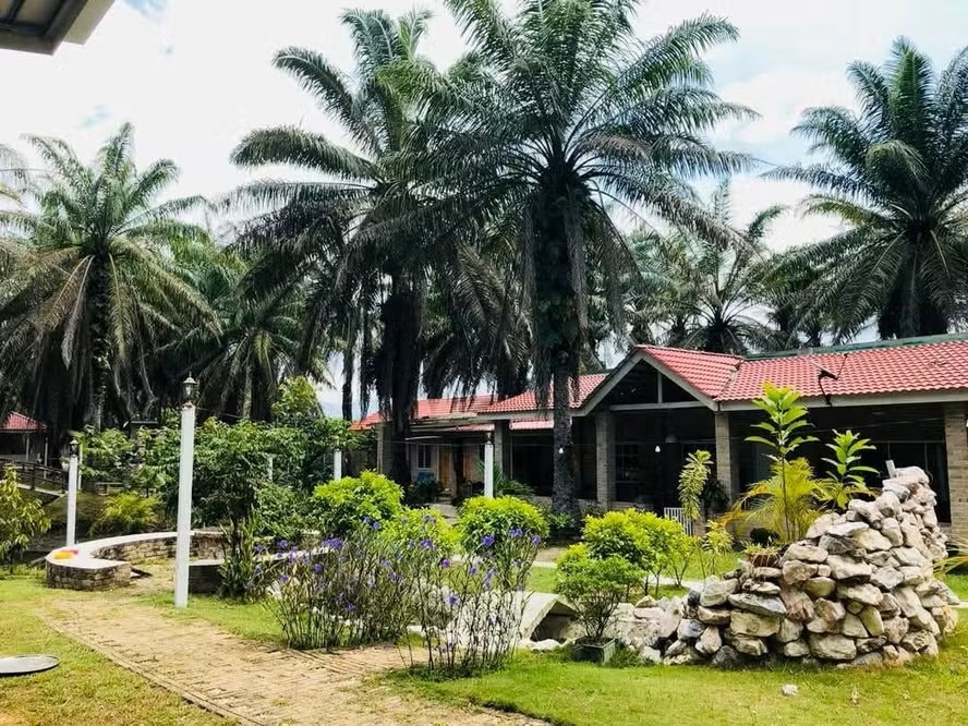 Cansado de tudo? Jovem cria ‘lar de idosos’ exclusivo para a Geração Z na Malásia