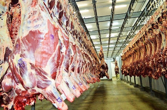 Exportações de carnes de Mato Grosso crescem mais de 43% em 2025