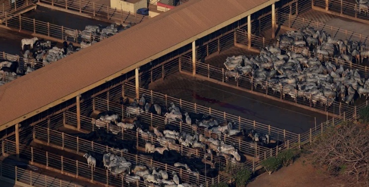 Brasil supera EUA como maior produtor de carne bovina e ajuda a limitar aumento nos preços