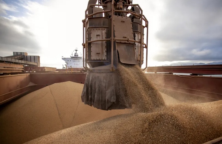 Ano dos recordes: os produtos que o agro do Brasil mais exportou em 2025