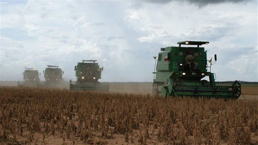 Colheita da soja avança em Mato Grosso, mas previsão de chuvas pode frear ritmo
