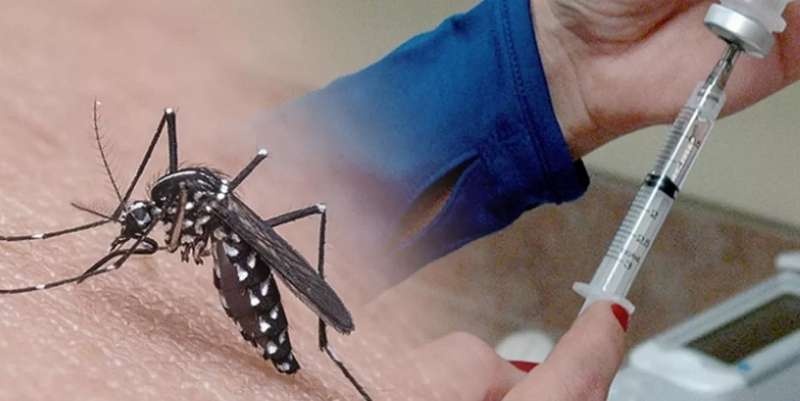 Mato Grosso já registra cerca de 30 mil pessoas infectadas por dengue