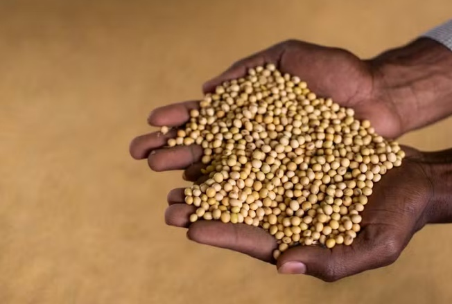 Produção de soja no Brasil deve superar 182 milhões de toneladas em 2025/26