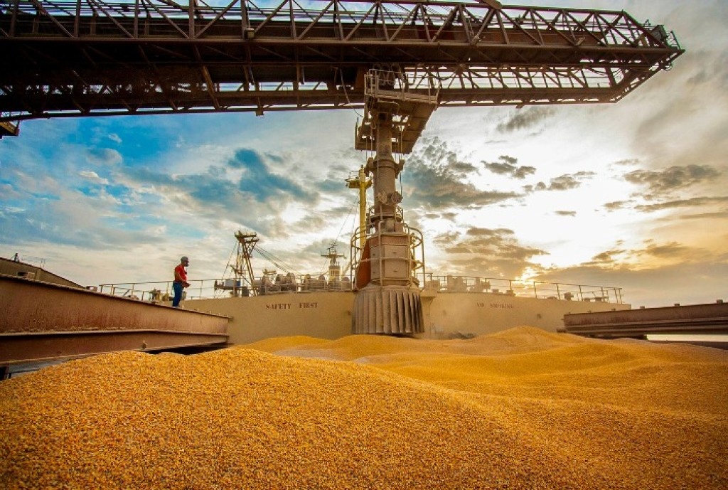 Exportações de milho de Mato Grosso em 2025: Egito, Irã e Vietnã lideram compras, mas safra registra leve retração