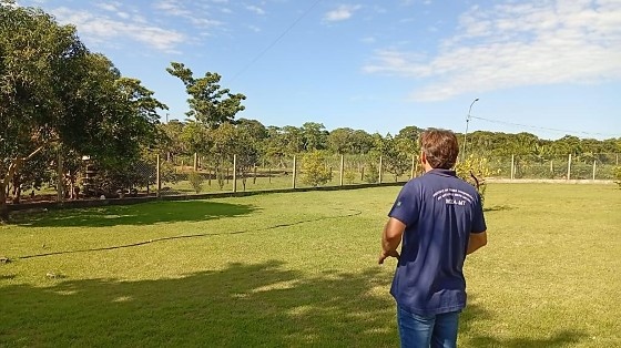 Indea sacrifica 164 aves após confirmação de gripe aviária em Acorizal