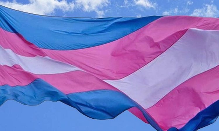 Brasil registra 80 assassinatos de pessoas trans em 2025; três foram em MT