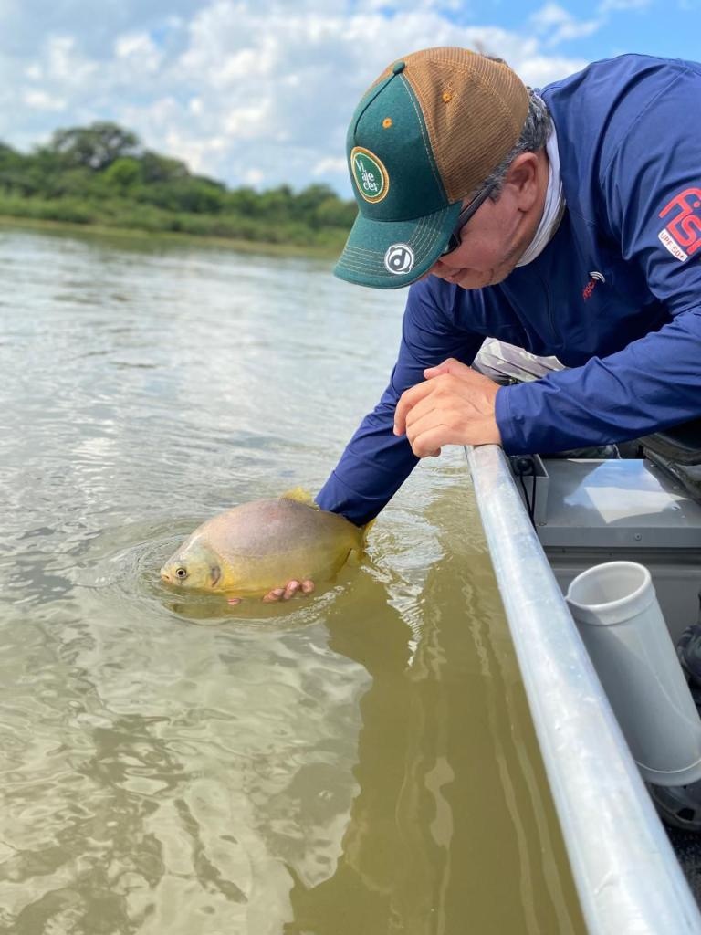 Fim da piracema abre temporada de pesca esportiva em Mato Grosso a partir de fevereiro